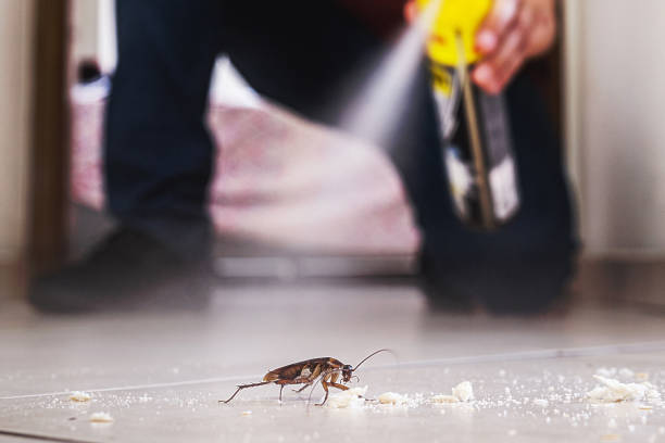 Pest Control for Restaurants in Billings, MT